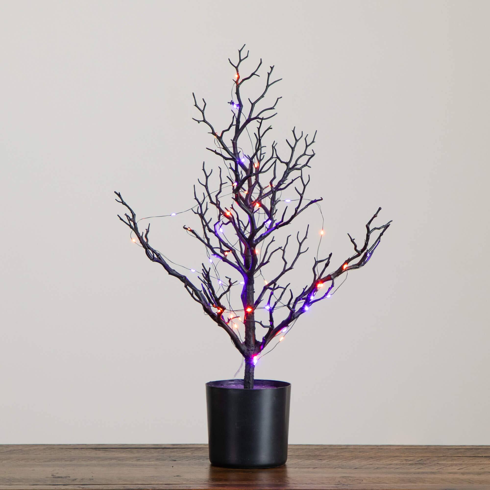 2ft. Pre-Lit Artificial Halloween Black Spooky Twig Tree with 60 Orange & Purple Copper Wire String LED Lights